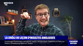 La drôle de leçon d'insultes anglaises de Paul Taylor