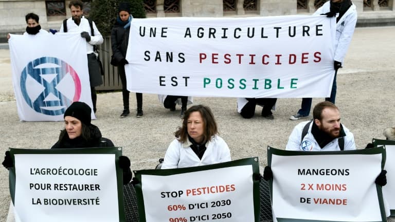 Manifestation pour dénoncer le recours aux pesticides dans l'agriculture, le 4 mars 2023 à Paris