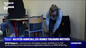 RATP : un chauffeur de bus menace et insulte violemment une cliente, une  procédure disciplinaire ouverte - France Bleu