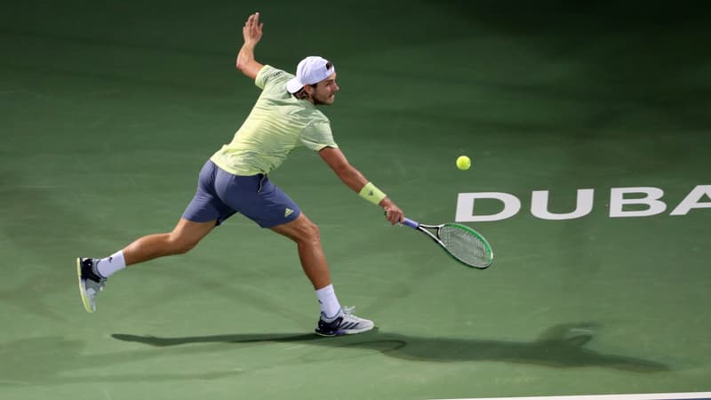 Lucas Pouille s'st incliné en finale à Dubai