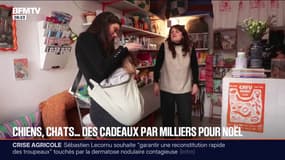 Les animaux de compagnie ont eux aussi le droit à  leurs cadeaux de Noël