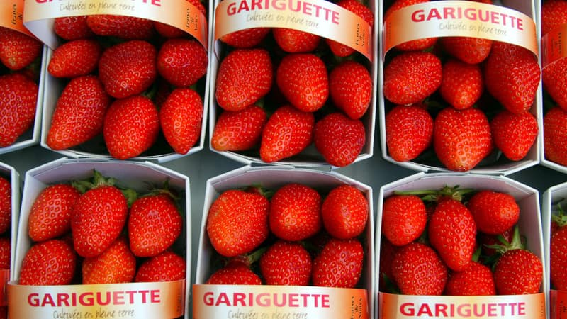 Les premières fraises de la saison arrivent sur les étals: comment bien les choisir et à quel prix?