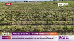 Pyrénées-Orientales : Un plan de résilience de l'eau