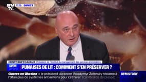 Punaises de lit: "On considère aujourd'hui qu'un logement sur six est touché", affirme Henry Buzy-Cazaux (président de l’Institut du management des services immobiliers)