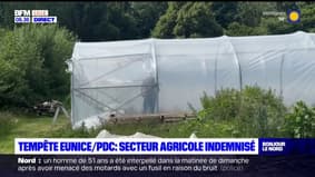 Tempête Eunice: les agriculteurs du Pas-de-Calais indemnisés 