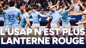 USAP 30-27 Toulouse : "Important pour la construction" Labit ravi du succès