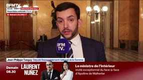 "On appelle à la censure du gouvernement et à des élections le plus vite possible", affirme Jean-Philippe Tanguy (RN) 