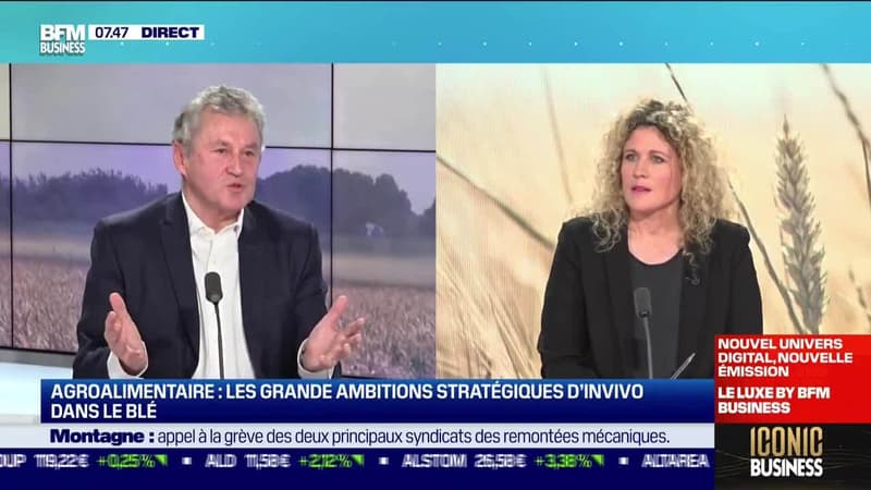 Thierry Blandinières (InVivo) : Les grandes ambitions stratégiques d'InVivo dans le blé - 24/01