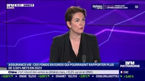 Idée de placements : Assurance-vie, ces fonds en euros qui pourraient rapporter plus de 3,5% nets en 2023 - 18/04