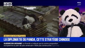LIBRE ARBITRE DE DIDIER FRANÇOIS - La diplomatie du panda, cette stratégie chinoise