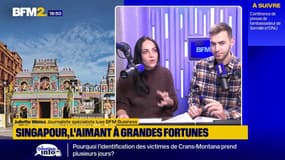 La ville de Singapour veut planter un million d’arbres supplémentaires