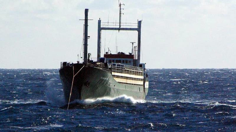 Un cliché pris par des gardes-côtes montre le cargo Ezadeen, qui dérivait avec près de 450 migrants clandestins à bord.