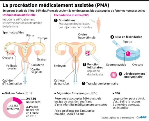 La procréation médicalement assistée (PMA)