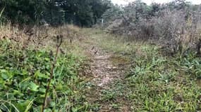 À Carrières-sous-Poissy, certains sols contiennent une forte concentration en plomb.