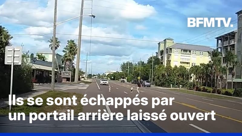 Aux États-Unis, un homme sauve deux enfants qui jouaient sur une route en Floride