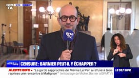 Ludovic Mendes (Ensemble pour la République): "Le pouvoir n'est plus à l'Élysée, il est au parlement"