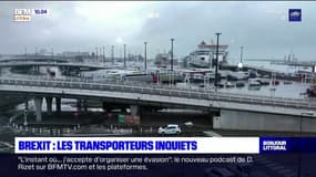 Brexit: les transporteurs routiers craignent des files d'attentes pour accéder au Royaume-Uni