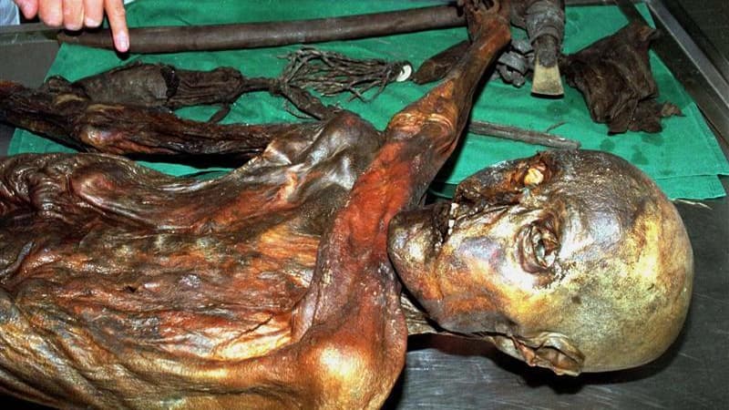 La momie d'"Ötzi", l'homme des glaces découvert en 1991 dans les Alpes tyroliennes à la frontière entre l'Autriche et l'Italie, a conservé pendant 5.300 ans des globules rouges - les cellules sanguines les plus anciennes jamais découvertes par des scienti