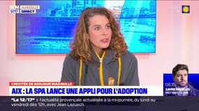 Aix-en-Provence: la SPA lance un application pour adopter un animal