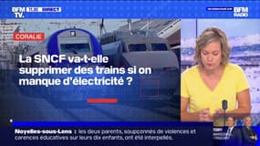 La SNCF va-t-elle supprimer des trains si on manque d'électricité? BFMTV répond à vos questions 