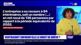 Nord: l'entreprise Vertbaudet devant la justice, accusée d'atteinte au droit de grève