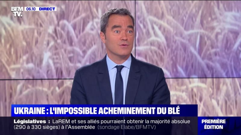 Guerre en Ukraine: l'impossible acheminement du blé