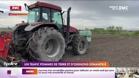 Un trafic de pommes de terre et d'oignons démantelé