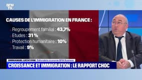 Croissance et immigartion : le rapport choc - 10/11