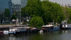 TF1 et SFR enterrent la hache de guerre