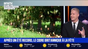Le break du mercredi 1er octobre