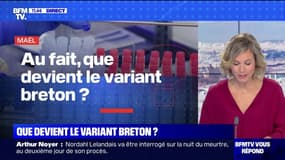 Que devient le variant breton ? BFMTV répond à vos questions