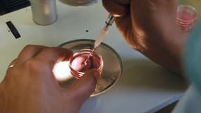 Depuis une loi de 1994, c'est la règle de l’anonymat strict qui prévaut.