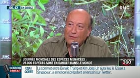 "70% de la biomasse d'insectes à disparu"