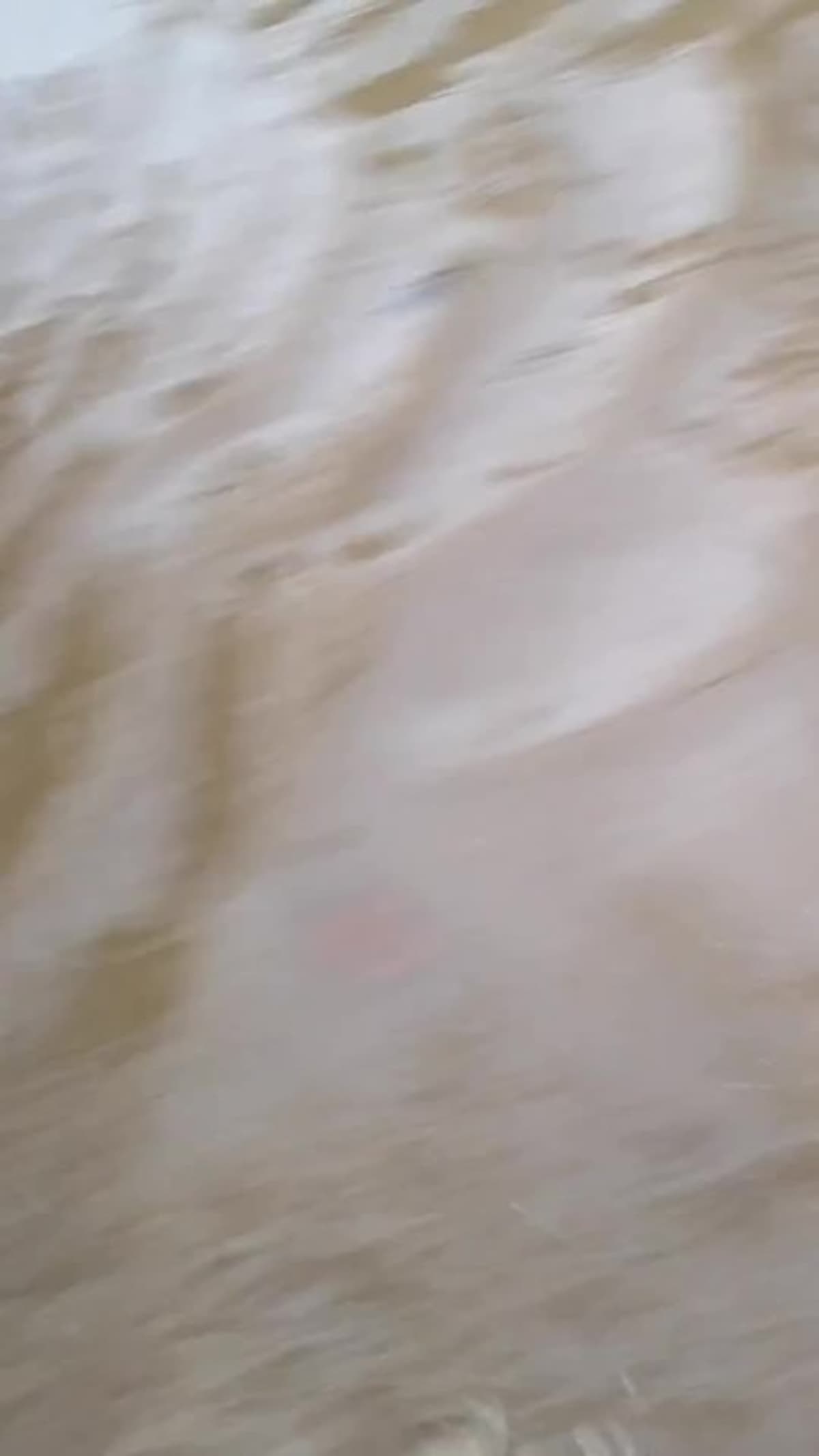 placeholder video