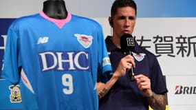 Fernando Torres