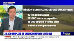 Provence-Alpes-Côte d'Azur: 38.200 emplois dans l'agriculture et une dominante viticole