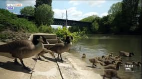 Action ! : le Val-de-Marne prépare le retour à la baignade