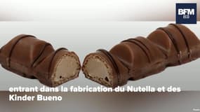 L'usine normande de Nutella, la plus grosse au monde, est à l'arrêt