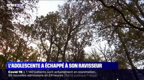 Ce que l'on sait de la joggeuse de 17 ans retrouvée vivante et en état de choc dans la Sarthe