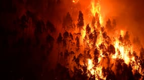 Des incendies touchent la France chaque été