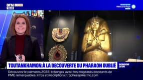 Toutankhamon : à la découverte du pharaon oublié