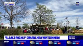 70 ans de la route des vins d'Alsace: ses évènements à découvrir à Wintzenheim