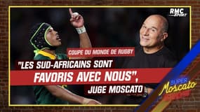 Coupe du monde de rugby : "Les Sud-Africains sont favoris avec nous" juge Moscato