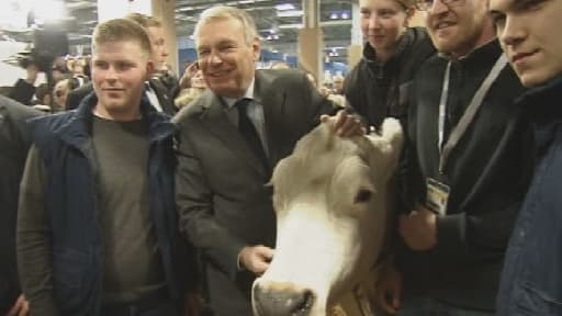 Jean-Marc Ayrault prend la pause aux côtés d'une vache qui "bave".