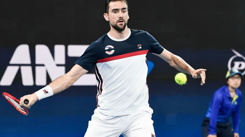 marin cilic