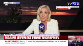 Marine Le Pen: "Si M. Bayrou entend augmenter les impôts, il nous poussera [...] à voter une censure"