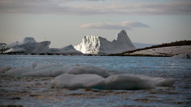 Les groupes défenseurs de l'environnement ont salué cette décision.