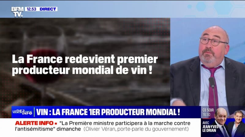La France redevient le premier producteur de vin au monde, sans augmenter sa production