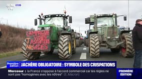 "On pourrait perdre 2.000 euros par hectares": les jachères obligatoires, imposées par l'Europe, devenues le symbole de crispations des agriculteurs 