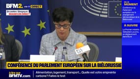 L'UE annonce une "aide supplémentaire de 30 millions d'euros au peuple biélorusse"